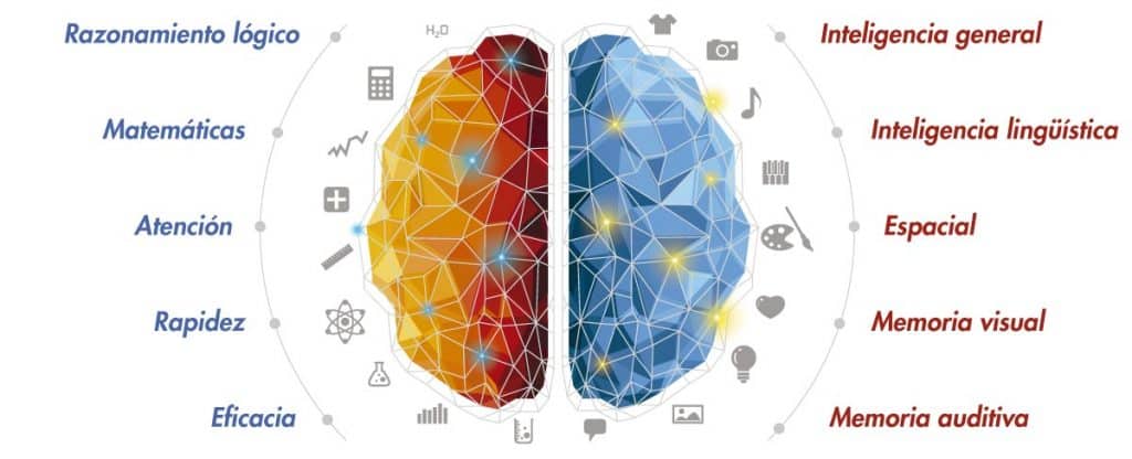 Inteligencias múltiples relacionadas con el ci o coeficiente intelectual